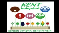 Geçtiğimiz hafta twitter Antalya güncesinde konu evlerin pencere ve balkonlarında çiçek sayısını arttırmak isteyenlerin temennileri ve balkonlarında, pencerelerinde çiçekleri olanların...