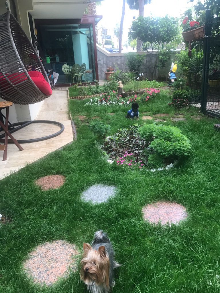 En Guzel Bahce Ve Balkon Icin Geri Sayim Basladi Antalya Haberleri